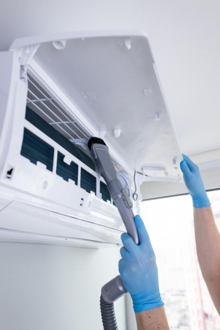 Quelles solutions efficaces pour éradiquer les moisissures domestiques ?