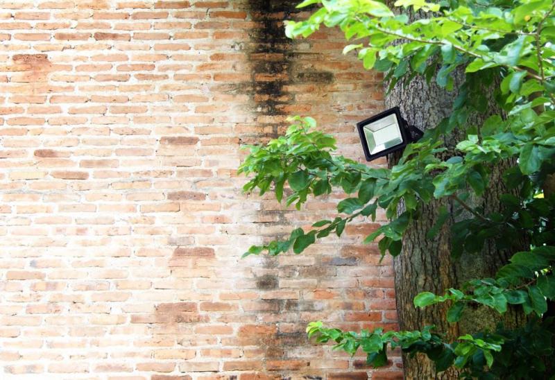 Comment r&eacute;ussir le traitement de la capillarit&eacute; dans votre logement ?