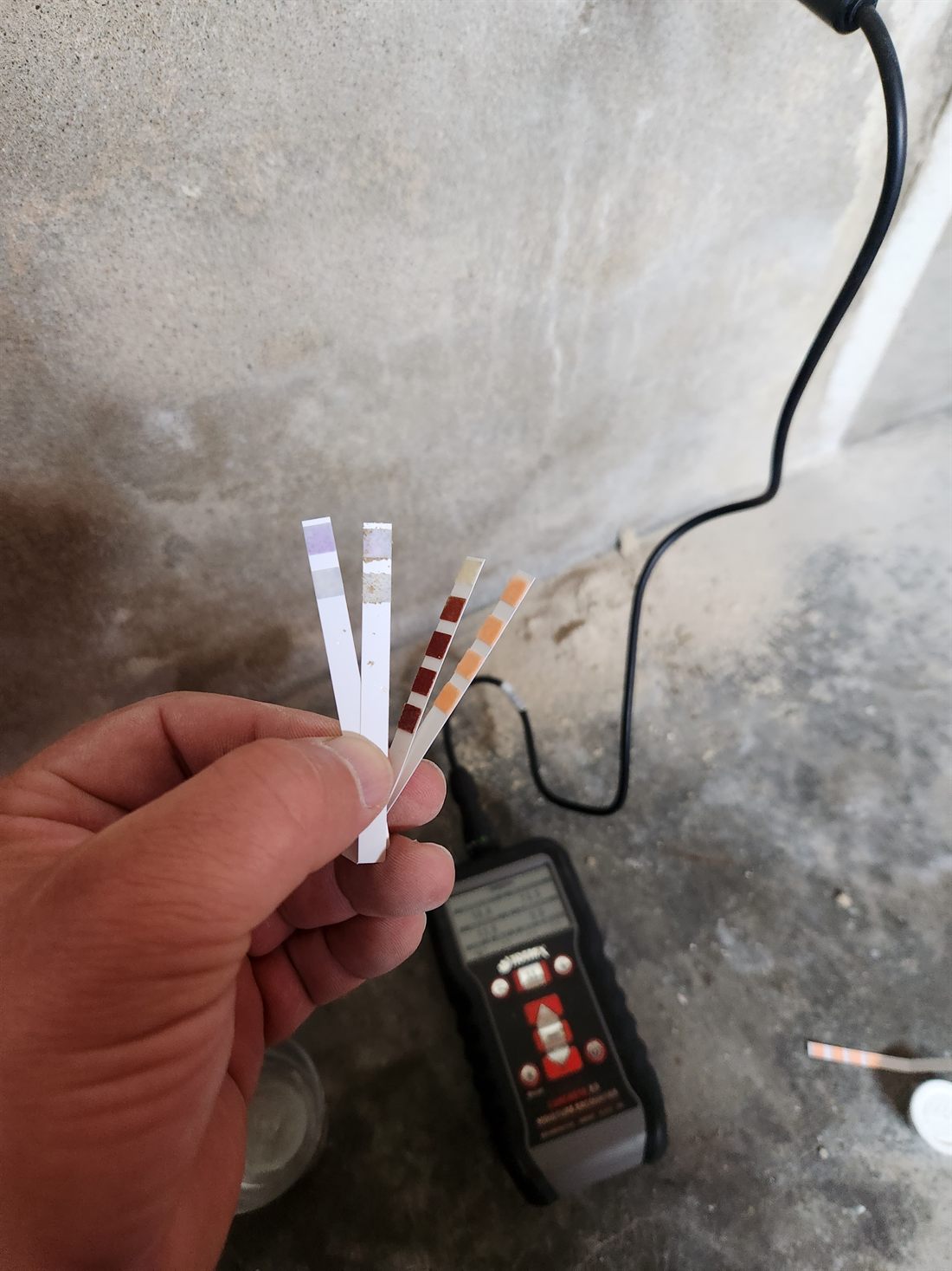 Mesure du taux d'humidité d'un mur à l'humidimètre avant traitement