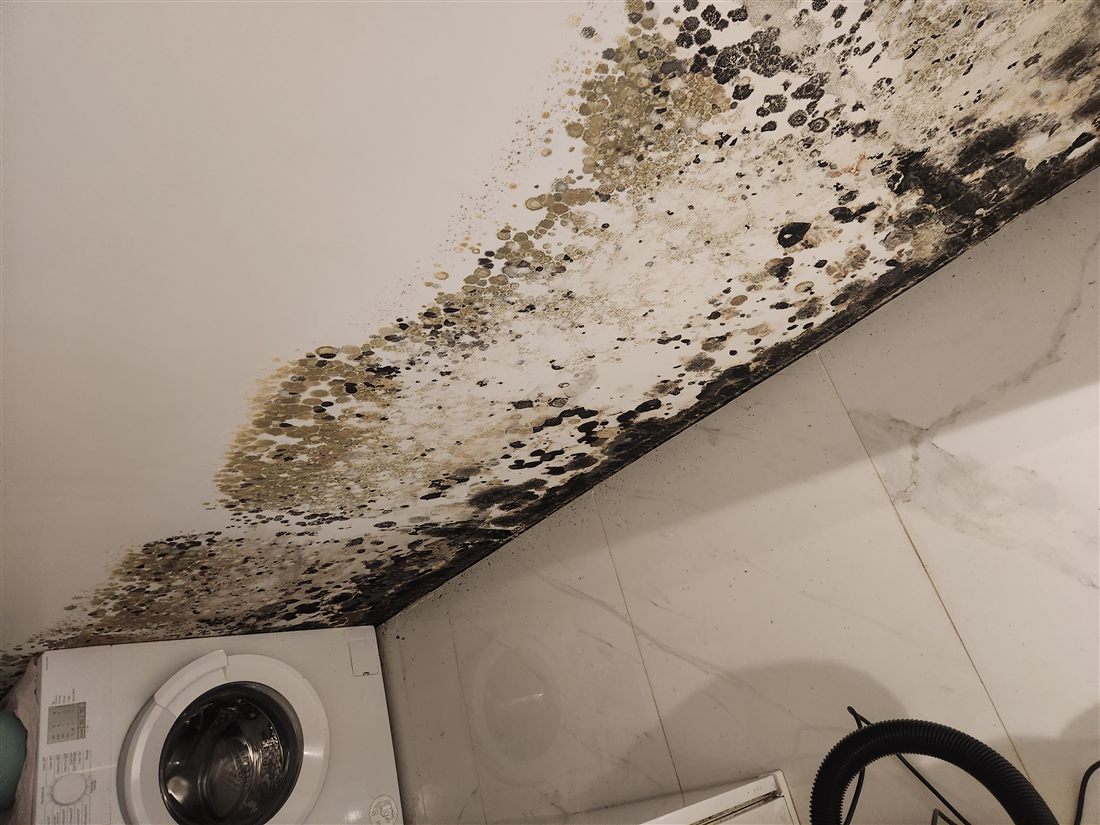 Mur de sous-sol enterré présentant des infiltrations d'eau et des traces d'humidité