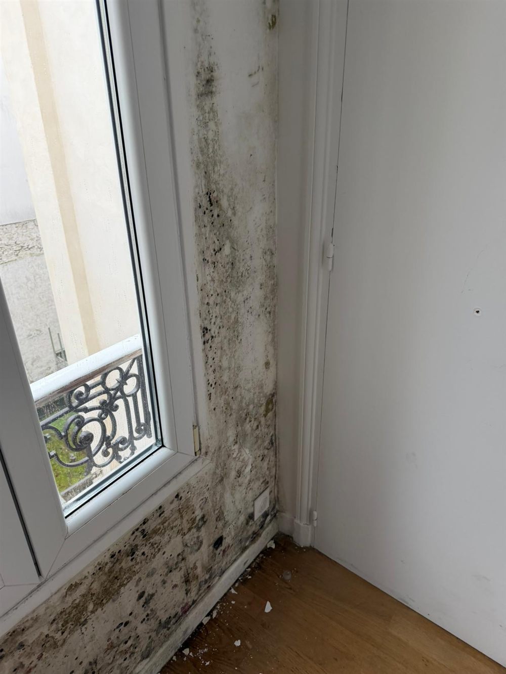 Moisissures autour d'une fenêtre
