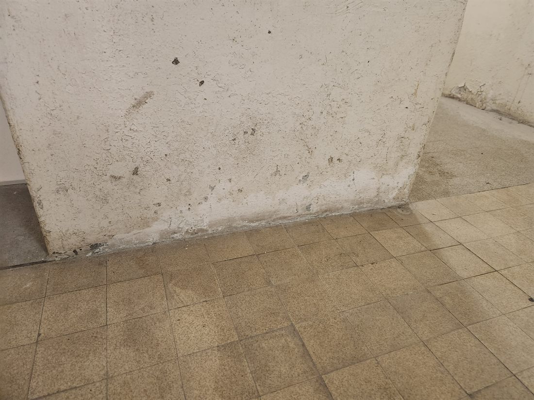 Bas de mur touché par une remontée capillaire avec traces d'humidité et salpêtre